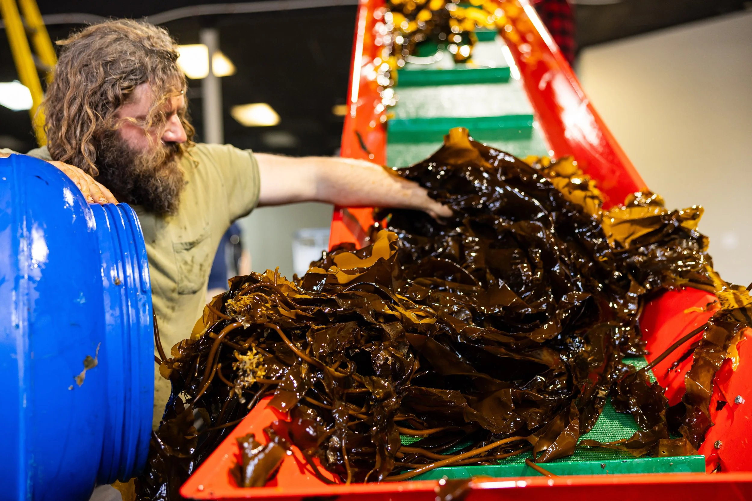 Inside GreenWave's Kelp Processing Plant — GreenWave Inside GreenWave's Kelp Processing Plant — GreenWave